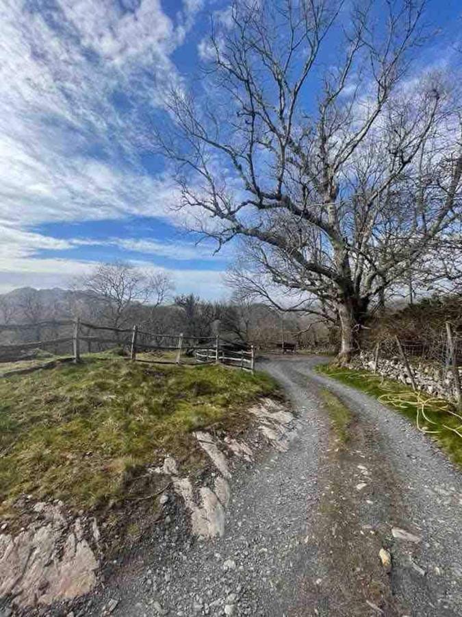 Pandy Farm - Waen Fechan Dolgellau Exterior foto